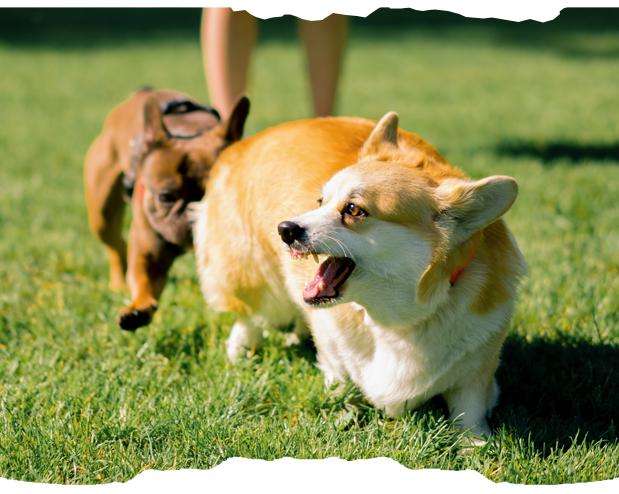 blog02