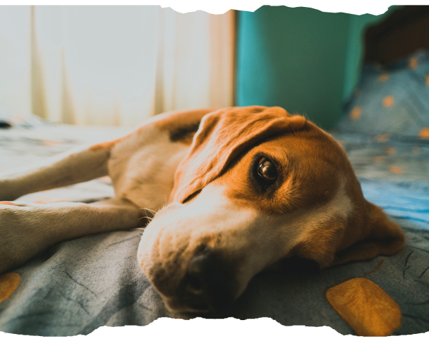 blog04