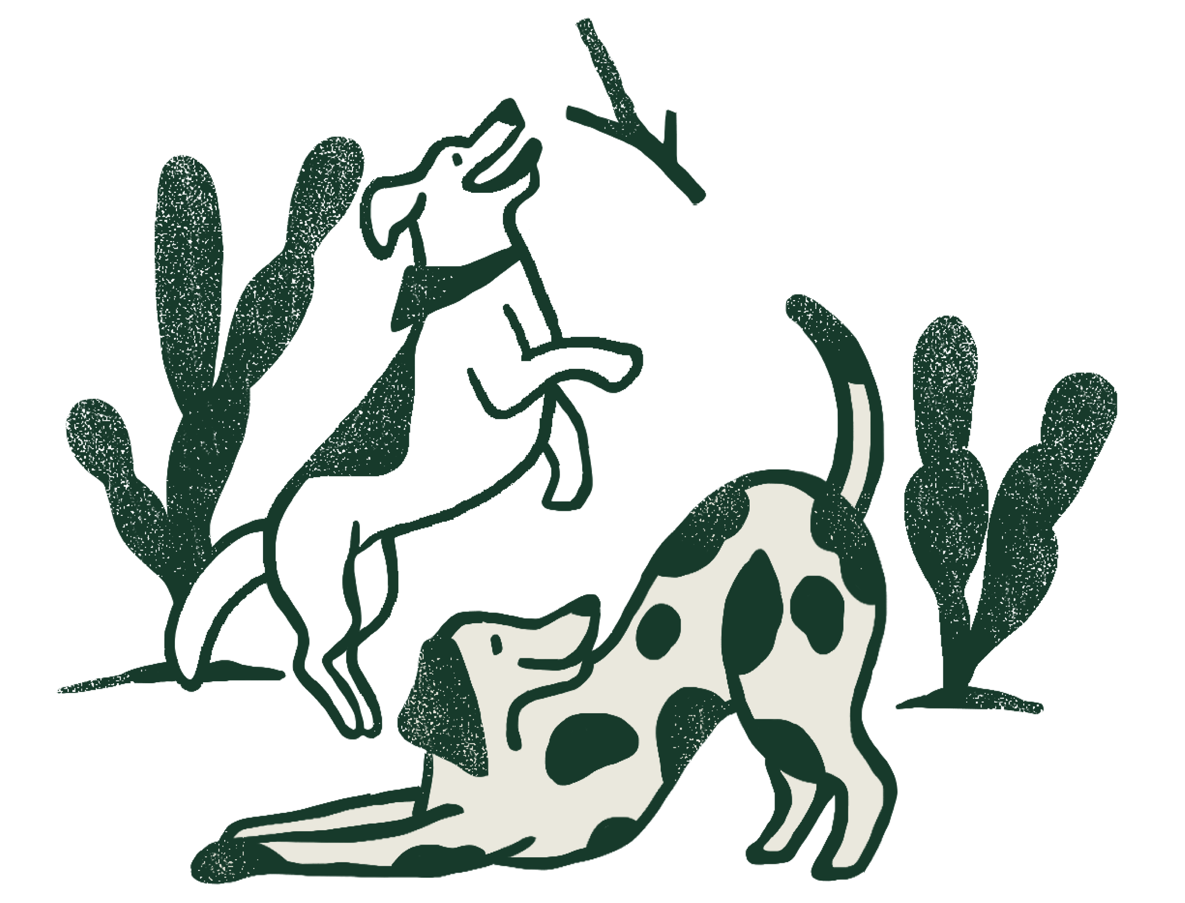 perros (1)