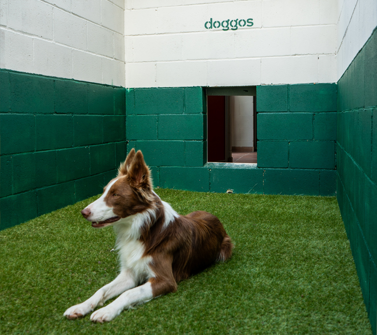 Caracteristicas-del-club-02