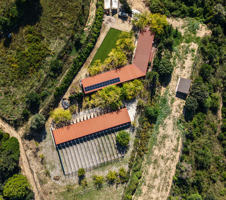 Caracteristicas-del-club-03