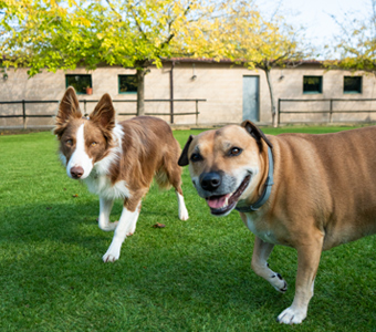 Caracteristicas-del-club-08